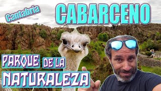 CABARCENO 🌿 - Parque de la Naturaleza 🐯 en Cantabria.