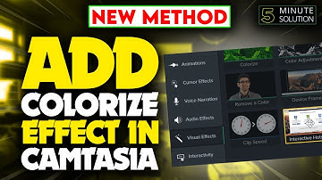 How to add colorize effect in camtasia 2024