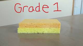 Maitland Mobilizations