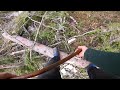 Bucking a spruce asmr  axe work  kirvesmies