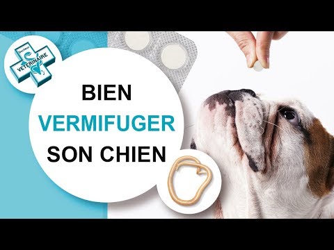 Vidéo: Comment fonctionnent les chiens vermifuges