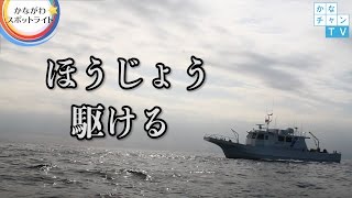 漁業調査指導船 ”ほうじょう” 駆ける　 「かながわ☆スポットライト」2016/12/16