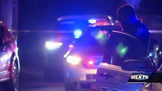 The Louisville Urban League and the NAACP proposals for gun safety reform