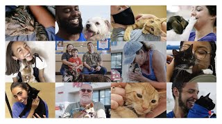 Join us for PetSmart Charities National Adoption Week