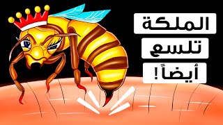 هل لسعة ملكة النحل أكثر خطورة وإيلاماً؟ (وجدنا الإجابة الغريبة)