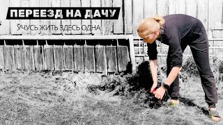 Дачный Переезд + Уют в Бане! 🏡🔥 Кальянный Столик, Кошка на Поводке и Сжигание Веток!