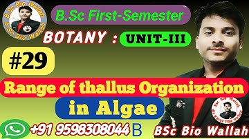 Range of thallus Organization in Alage | Phycology | Unit 3 Bsc 1st Semester #botany #video #algae