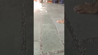 Download Lagu channa bhungada mange re masana bheru aaj l Jai bheru baba l jai baba l jai bherunath MP3