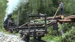 Tapinarii - Forestry Lumber Workers