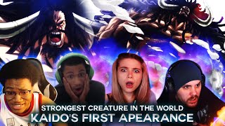 Kaido First Appearance  Reaction Mashup