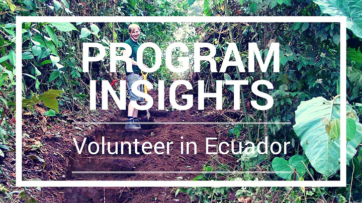 Volunteer in Ecuador | Environment