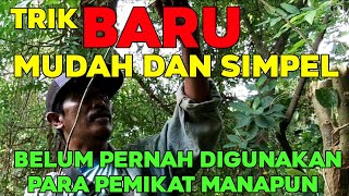 Download Lagu Diluar dugaan!! semudah ini kah mikat burung yang tidak mau turun MP3 Download Lagu Diluar dugaan!! semudah ini kah mikat burung yang tidak mau turun MP3