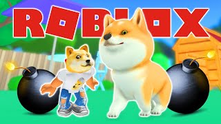 Roblox Doge Story Adventures!