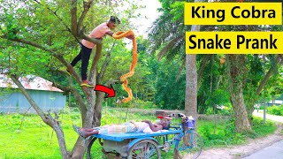 King Cobra Snake Prank 🐍 (Part 4) Fake Snake Prank Video on Public 🐍Dangerous King Cobra Snake