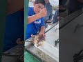 How To Crack A Crab Fishing God Shortvideo Shorts Shortsvideo Crab Fyp Shortvideo Water 