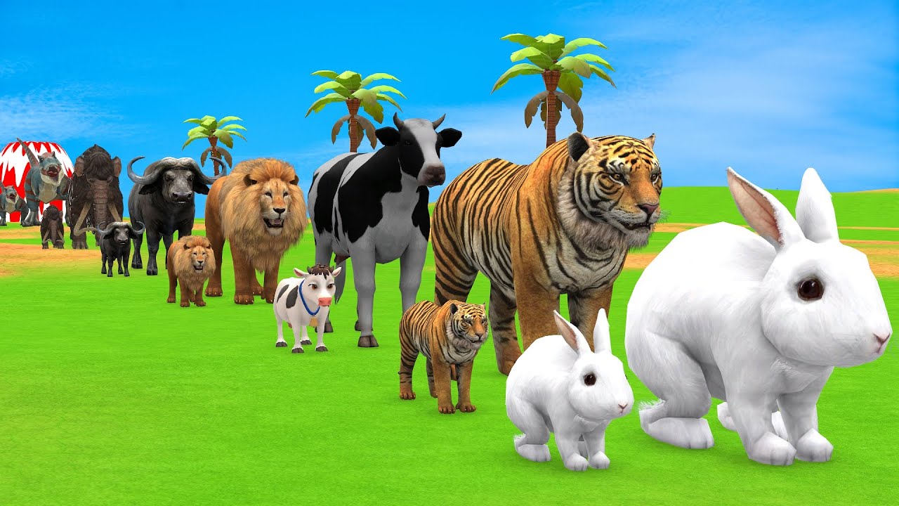 Long Slide Game with Cow Elephant Gorilla Hippopotamus Tiger 3d Animal Game Funny 3d Animals