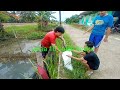 Seruunya panen ikan patin pas pergantian tahun baru ...Mantap