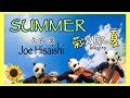 菊次郎の夏 Summer 久石譲 Joe Hisaishi String Quartet Cover バイオリン チェロ ビオラ 弦楽四重奏で弾いてみた 菊次郎の夏 Summer 久石譲 Joe Hisaishi String Quartet Cover バイオリン チェロ ビオラ 弦楽四重奏で弾いてみた