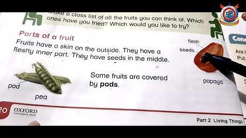 Class Two Science Unit;3 Plants & Their Parts Lecture # 14 Parts of a Fruit