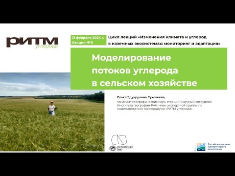 Моделирование потоков углерода