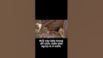 Cuộc Hành Trình Tìm Nước Và Săn Protein Giữa Sa Mạc Khắc Nghiệt