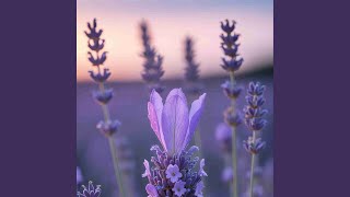 Sudah ada yang memiliki