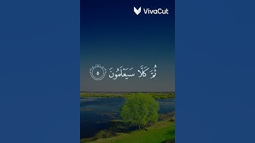قرآن كريم 🌿 القارئ عبد الرحمن مسعد 🌿 سورة النبإ | عم يتسآءلون | 🌿