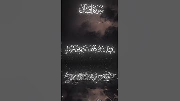 تلاوة هادئة للشيخ ياسر الدوسري