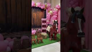 Parte 2 Niver De 4 Aninhos Da Dafinny Boiadeira Mais Linda