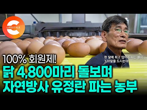 &amp;quot;회원제 운영, 직거래 판매로 억대 매출 냅니다&amp;quot; 2천 평 땅에서 4천 마리 닭에게 12첩 반상을 먹이는 자연방사 <strong>유정란</strong> 농부의 노하우│달걀 정기구독 서비스🥚│#
