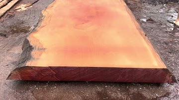 Tấm gỗ đinh hương thô mộc mới xẻ làm mặt bàn vip cực rộng