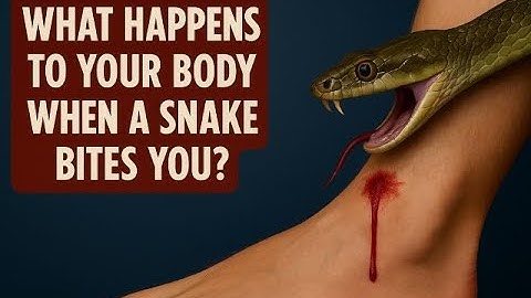 "What Happens to Your Body When a Snake Bites You?"🐍 | FULL VIDEO.