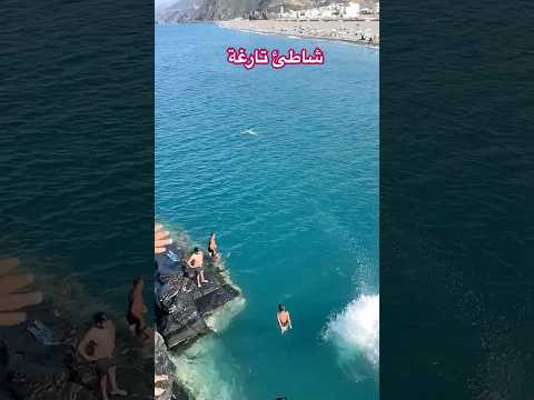 قفزة من كوكب اخر شاطئ تارغة