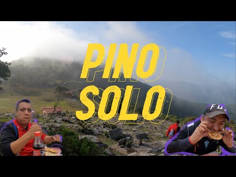 PINO SOLO, CAMINO REAL A TULA -SENDERISMO EN LA SIERRA MADRE