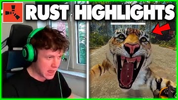 🔥 NEW UPDATE RUST HIGHLIGHTS AND MOMENTS 59 EPISODE...