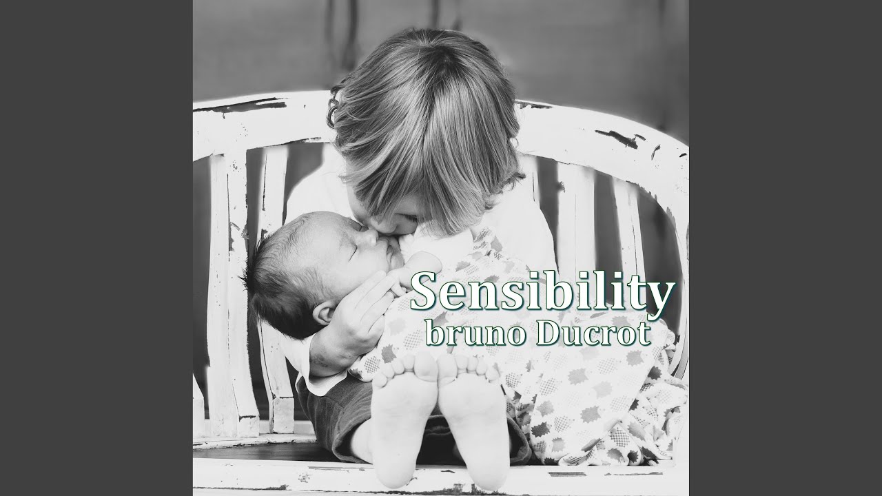 Watch Sensibility on YouTube Watch Sensibility on YouTube