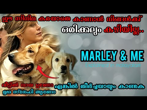 Marley & Me