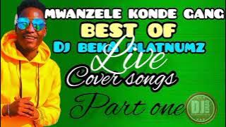 MWANZELE KONDE GANG BEST OF DJ BEKA PLATNUMZ LIVE COVER SONGS IN MWANZELE STYLE.