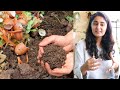 Composting  kitchen Waste at Home