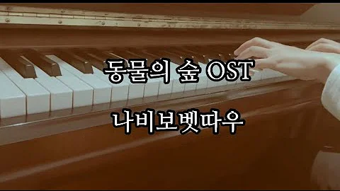 나비보벳따우 재즈 나비보벳따우 재즈
