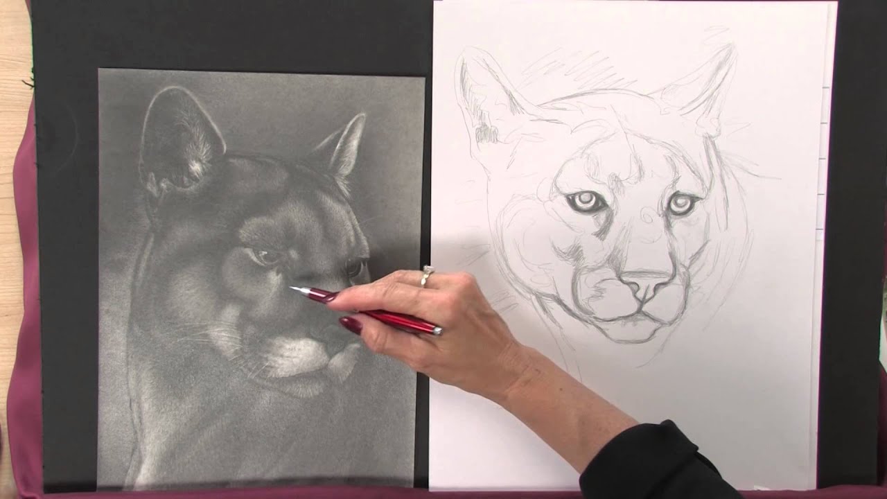 Featured image of post Art Animals Drawing Images - Learning how to draw animals like dogs is easier than it seems.