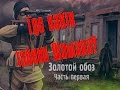 S.T.A.L.K.E.R.: "Золотой обоз" Где тайник Шамана или Лекарство для Лесси