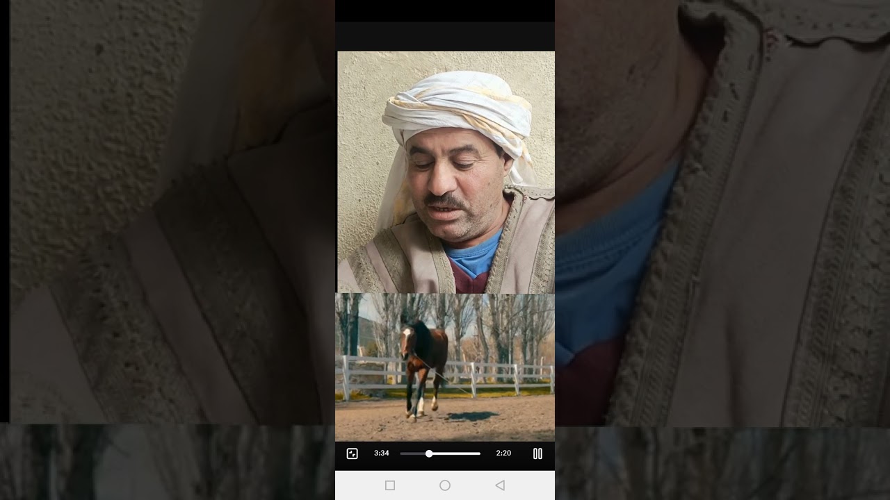 ١٥ نوفمبر ٢٠٢٥