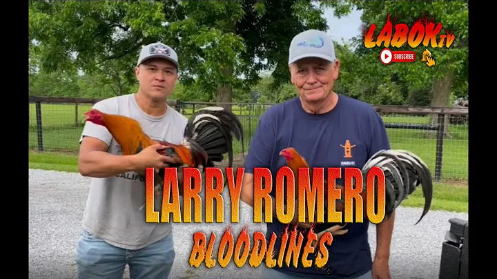 GREEN JEAN FARM BLOODLINES OF MR. LARRY ROMERO AND...