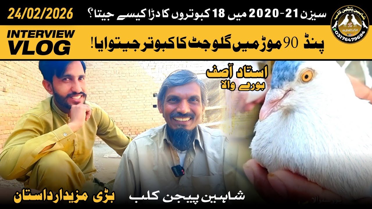 Gulu Jatt Ka Kabotar Jeetwaya Season 2020-21 Ki Kahani | Interview Ustad Asif Burewala 24/2/2026