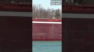 207M Wilfred Sykes Bulk Carrier Cargo Ship