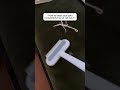 How to keep your sofa completely free of cat hair? this pet hair removal will tell you.