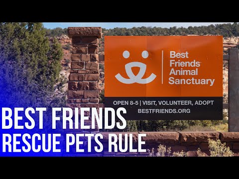 Video: Ceļvedis Brīvprātīgajam Darbam Best Friends Animal Sanctuary - Matador Network
