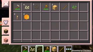 Tarla minecraft pe  baran