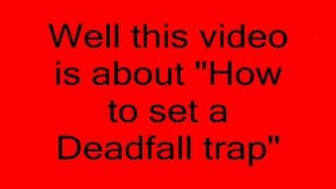 How to set a deadfall trap
